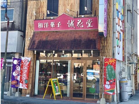 せいかどう